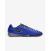 ИГР. ОБУВЬ Д/ЗАЛА NIKE LUNAR LEGEND 7 PRO IC (HO18) AH7246-400