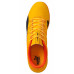 ИГР. ОБУВЬ Д/ЗАЛА PUMA evoPOWER Vigor 4 IT (SS17) 10396603