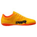 ИГР. ОБУВЬ Д/ЗАЛА PUMA evoPOWER Vigor 4 IT (SS17) 10396603