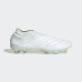 БУТСЫ ADIDAS COPA 19+ FG (SS19) BB9184