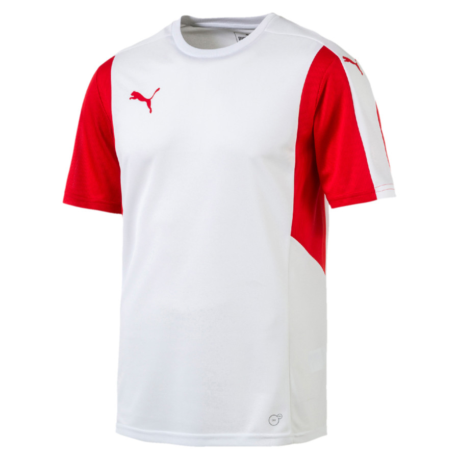 МАЙКА ИГР. PUMA Dominate SS Shirt (SS17) 70306312
