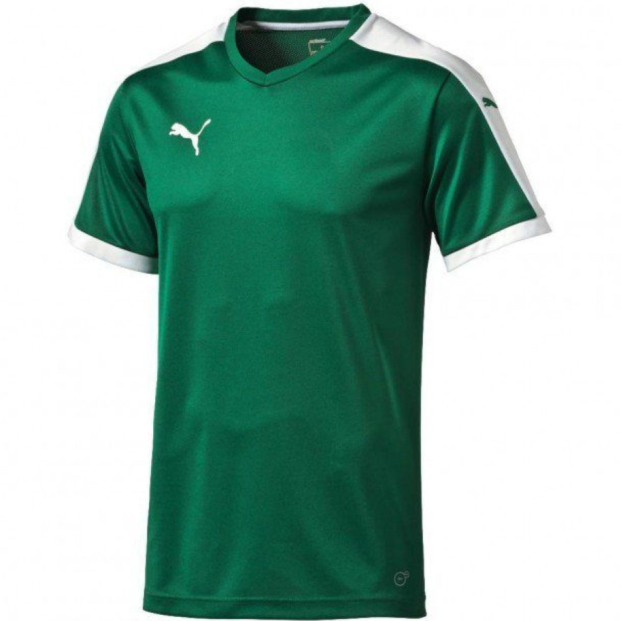 МАЙКА ИГР. PUMA Pitch SS (SS15) 702070051