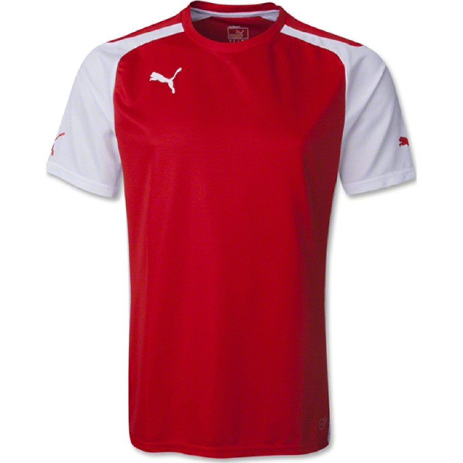 МАЙКА ИГР. PUMA SPEED SS SHIRT (SS14) 701906011