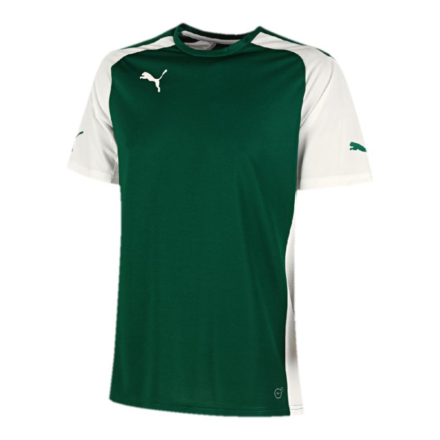 МАЙКА ИГР. PUMA SPEED SS SHIRT (SS14) 701906057