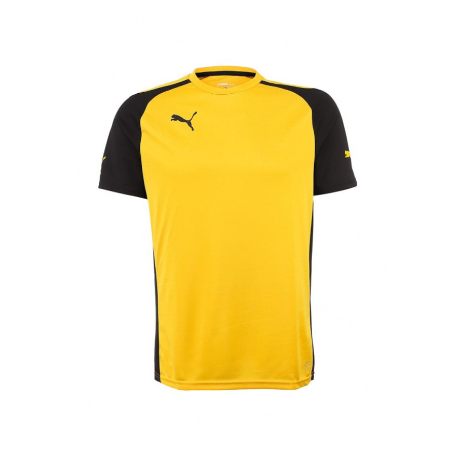 МАЙКА ИГР. PUMA SPEED SS SHIRT (SS14) 70190607