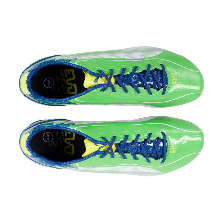 БУТСЫ PUMA EVOSPEED 1 SG (SS13) 10252605