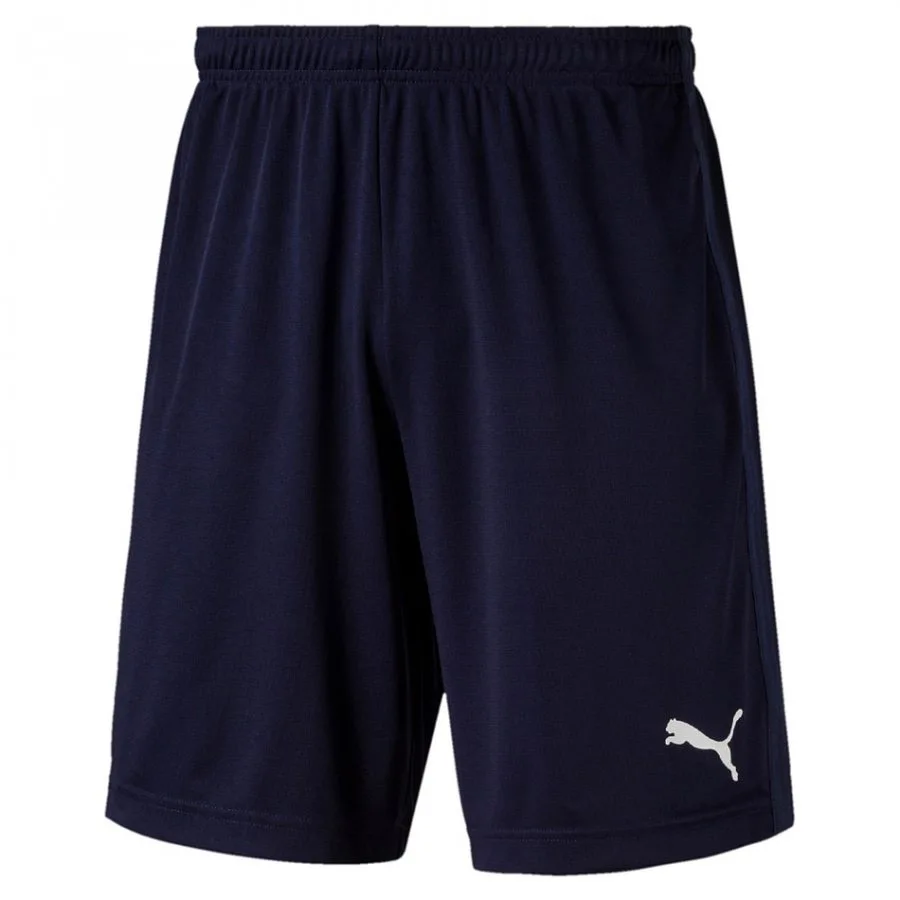 Puma liga shorts cheap