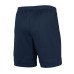 ШОРТЫ ТРЕН. NIKE DF ACD21 SHORT K JR (SU21) CW6109-452