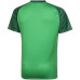 МАЙКА ИГР. 2K Sport shift green 120044