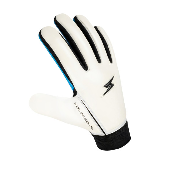 Вратарские перчатки Coach Gloves